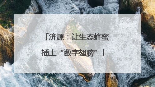 济源：让生态蜂蜜插上“数字翅膀”