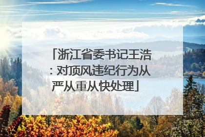 浙江省委书记王浩：对顶风违纪行为从严从重从快处理