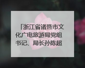浙江省诸暨市文化广电旅游局党组书记、局长孙陈超：以“西施”IP激活全域旅游 打造县域文旅融合新标杆｜第七届全国县域旅游研究成果发布系列活动