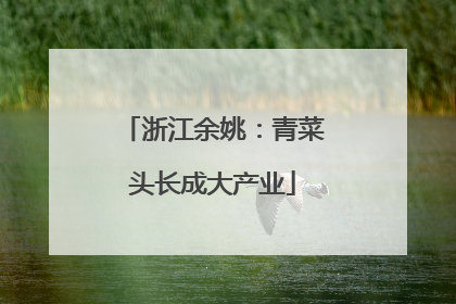浙江余姚：青菜头长成大产业