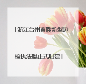 浙江台州首艘新型边检执法艇正式归建