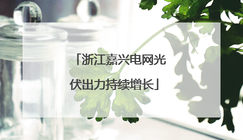 浙江嘉兴电网光伏出力持续增长