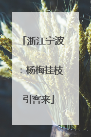 浙江宁波：杨梅挂枝引客来