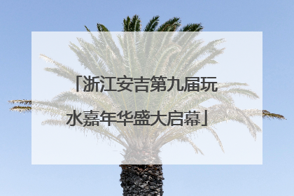 浙江安吉第九届玩水嘉年华盛大启幕