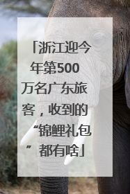 浙江迎今年第500万名广东旅客，收到的“锦鲤礼包”都有啥