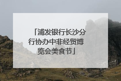 浦发银行长沙分行协办中非经贸博览会美食节