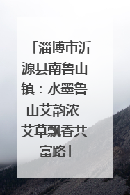 淄博市沂源县南鲁山镇：水墨鲁山艾韵浓 艾草飘香共富路