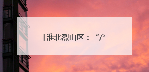 淮北烈山区：“产业村长”上岗记