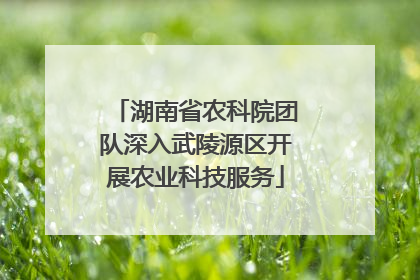 湖南省农科院团队深入武陵源区开展农业科技服务