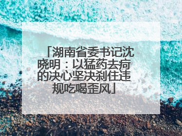湖南省委书记沈晓明：以猛药去疴的决心坚决刹住违规吃喝歪风