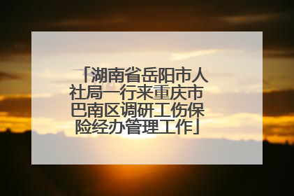 湖南省岳阳市人社局一行来重庆市巴南区调研工伤保险经办管理工作