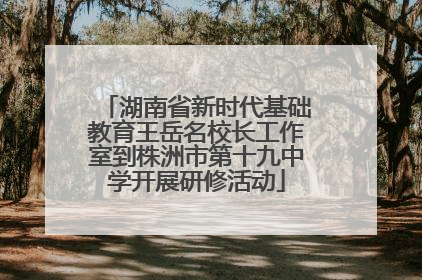 湖南省新时代基础教育王岳名校长工作室到株洲市第十九中学开展研修活动