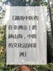 湖南中医药在非洲③｜跨越山海，中医药文化浸润非洲