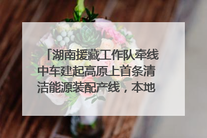 湖南援藏工作队牵线中车建起高原上首条清洁能源装配产线，本地大学生成车间检验员
