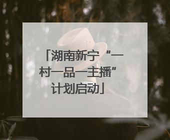 湖南新宁“一村一品一主播”计划启动