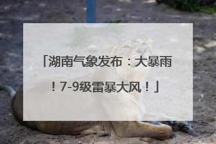 湖南气象发布：大暴雨！7-9级雷暴大风！