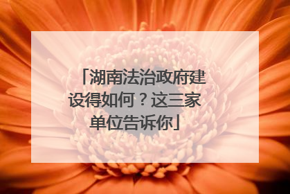 湖南法治政府建设得如何？这三家单位告诉你