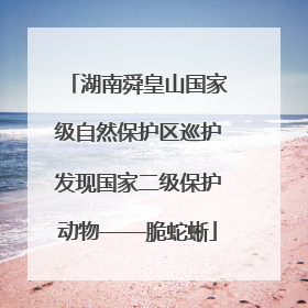 湖南舜皇山国家级自然保护区巡护发现国家二级保护动物——脆蛇蜥