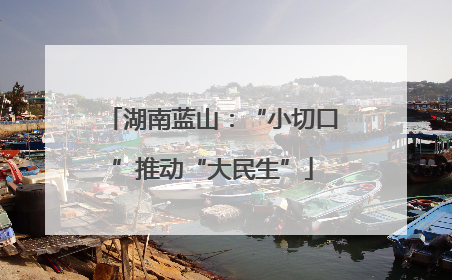 湖南蓝山：“小切口”推动“大民生”