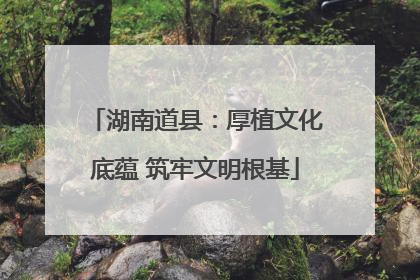 湖南道县：厚植文化底蕴 筑牢文明根基