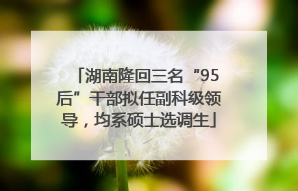 湖南隆回三名“95后”干部拟任副科级领导，均系硕士选调生
