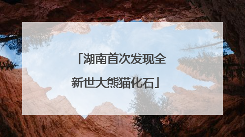 湖南首次发现全新世大熊猫化石