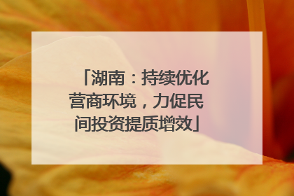 湖南：持续优化营商环境，力促民间投资提质增效