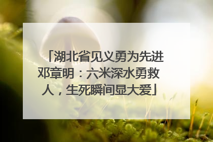 湖北省见义勇为先进邓章明：六米深水勇救人，生死瞬间显大爱