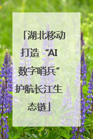 湖北移动打造“AI数字哨兵”护航长江生态链