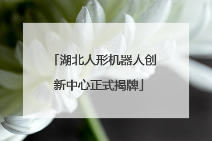 湖北人形机器人创新中心正式揭牌