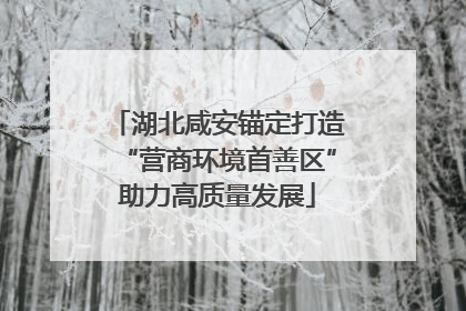 湖北咸安锚定打造“营商环境首善区”助力高质量发展