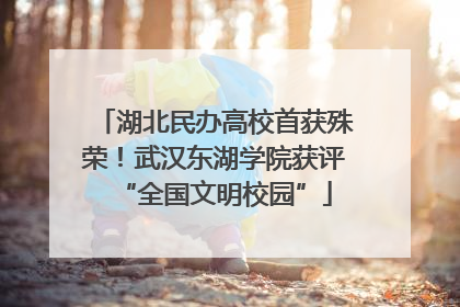 湖北民办高校首获殊荣！武汉东湖学院获评“全国文明校园”