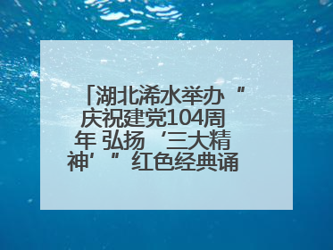 湖北浠水举办“庆祝建党104周年 弘扬‘三大精神’”红色经典诵读活动