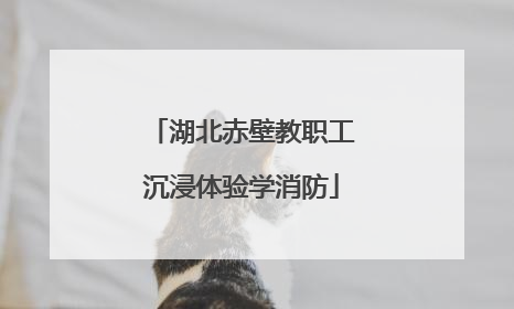 湖北赤壁教职工沉浸体验学消防