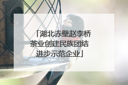 湖北赤壁赵李桥茶业创建民族团结进步示范企业