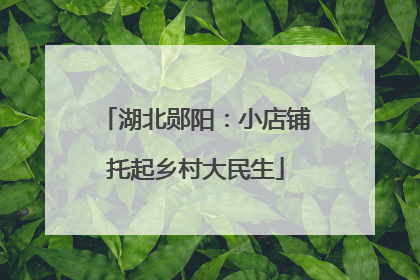 湖北郧阳：小店铺托起乡村大民生