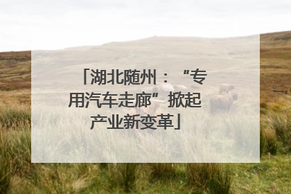 湖北随州：“专用汽车走廊”掀起产业新变革