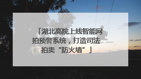 湖北高院上线智能网拍预警系统，打造司法拍卖“防火墙”