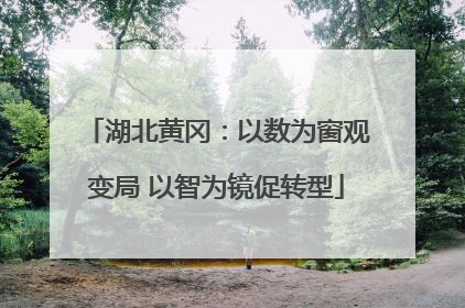 湖北黄冈：以数为窗观变局 以智为镜促转型