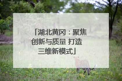湖北黄冈：聚焦创新与质量 打造三维新模式