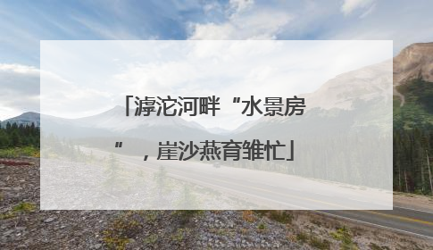 滹沱河畔“水景房”，崖沙燕育雏忙