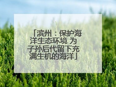 滨州：保护海洋生态环境 为子孙后代留下充满生机的海洋