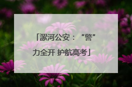 漯河公安：“警”力全开 护航高考