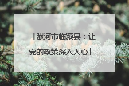 漯河市临颍县：让党的政策深入人心