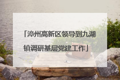 漳州高新区领导到九湖镇调研基层党建工作