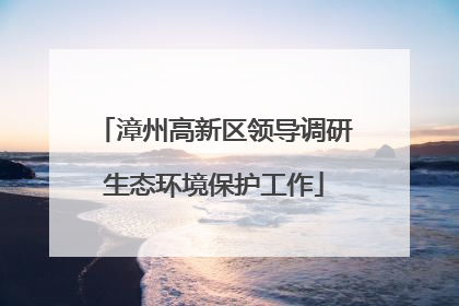 漳州高新区领导调研生态环境保护工作