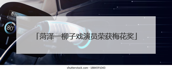 菏泽一柳子戏演员荣获梅花奖