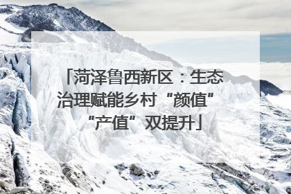 菏泽鲁西新区：生态治理赋能乡村“颜值”“产值”双提升