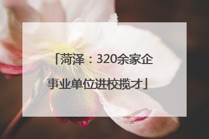 菏泽：320余家企事业单位进校揽才