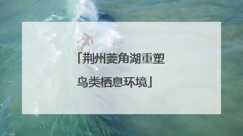 荆州菱角湖重塑鸟类栖息环境
